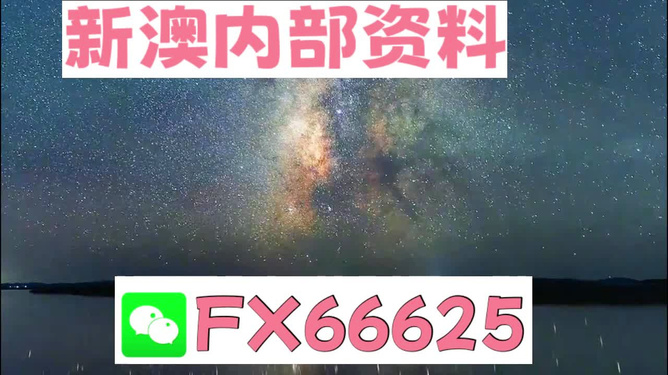 新澳天天彩免费资料大全查询,精细策略定义探讨_AR75.955