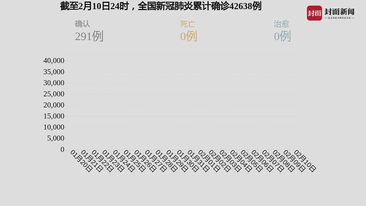 全球肺炎疫情最新记录及应对策略，现状、挑战与希望