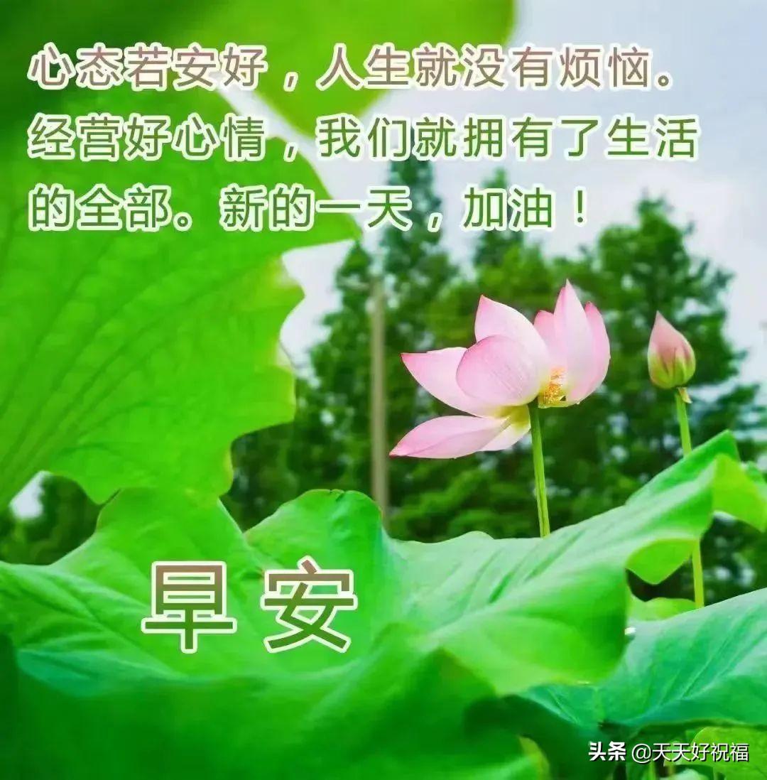 早安带字图片，注入正能量的全新一天